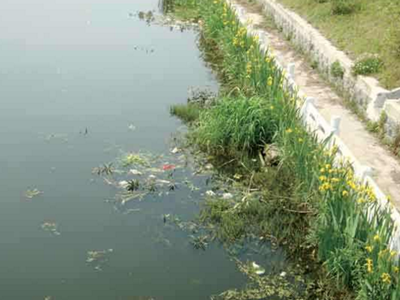 深圳水質(zhì)檢測機構